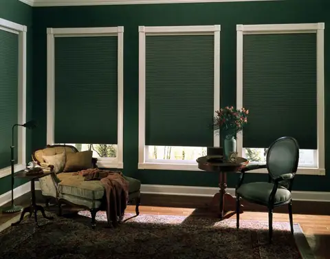 Cellular Shades photo 49 of 90