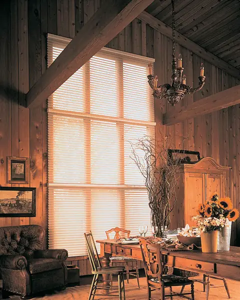 Window Shadings photo 12 of 34