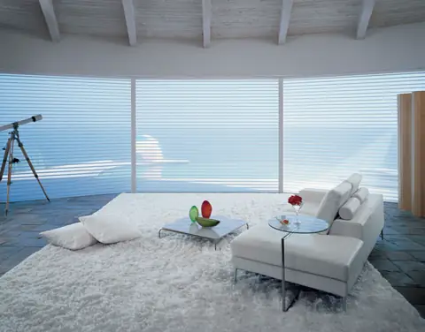 Window Shadings photo 16 of 34