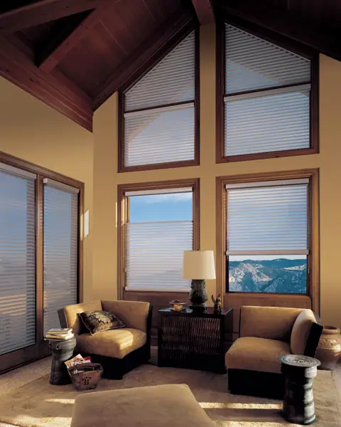 Window Shadings photo 17 of 34