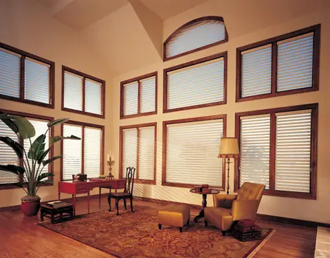 Window Shadings photo 19 of 34