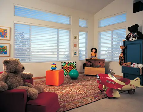 Window Shadings photo 28 of 34